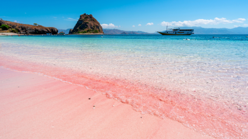 Pink Beach, Komodo Island, Indonesia