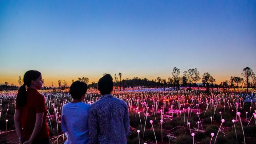 Field of Light, Uluru