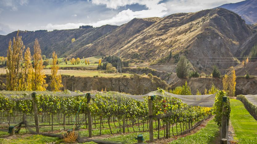 Gibbston Valley, Queenstown