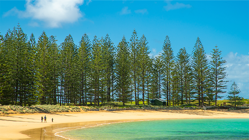 Emily Bay Norfolk Island, Australia